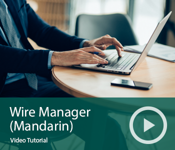 Video Wire Manager Mandarin