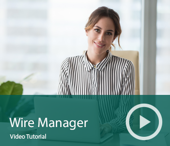 Video Wire Manager