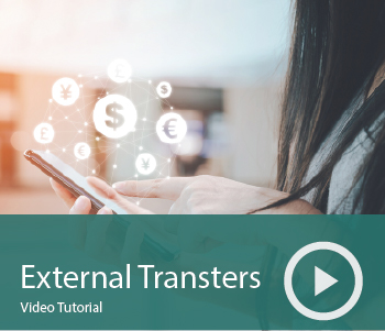 External-Trasnfers-Mandarin